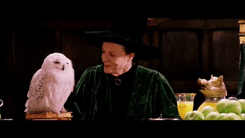 Mcgonagal And Hedwig Gif The Sorcerer S Stone Harry Potter Harry Potter Fantastic Beasts