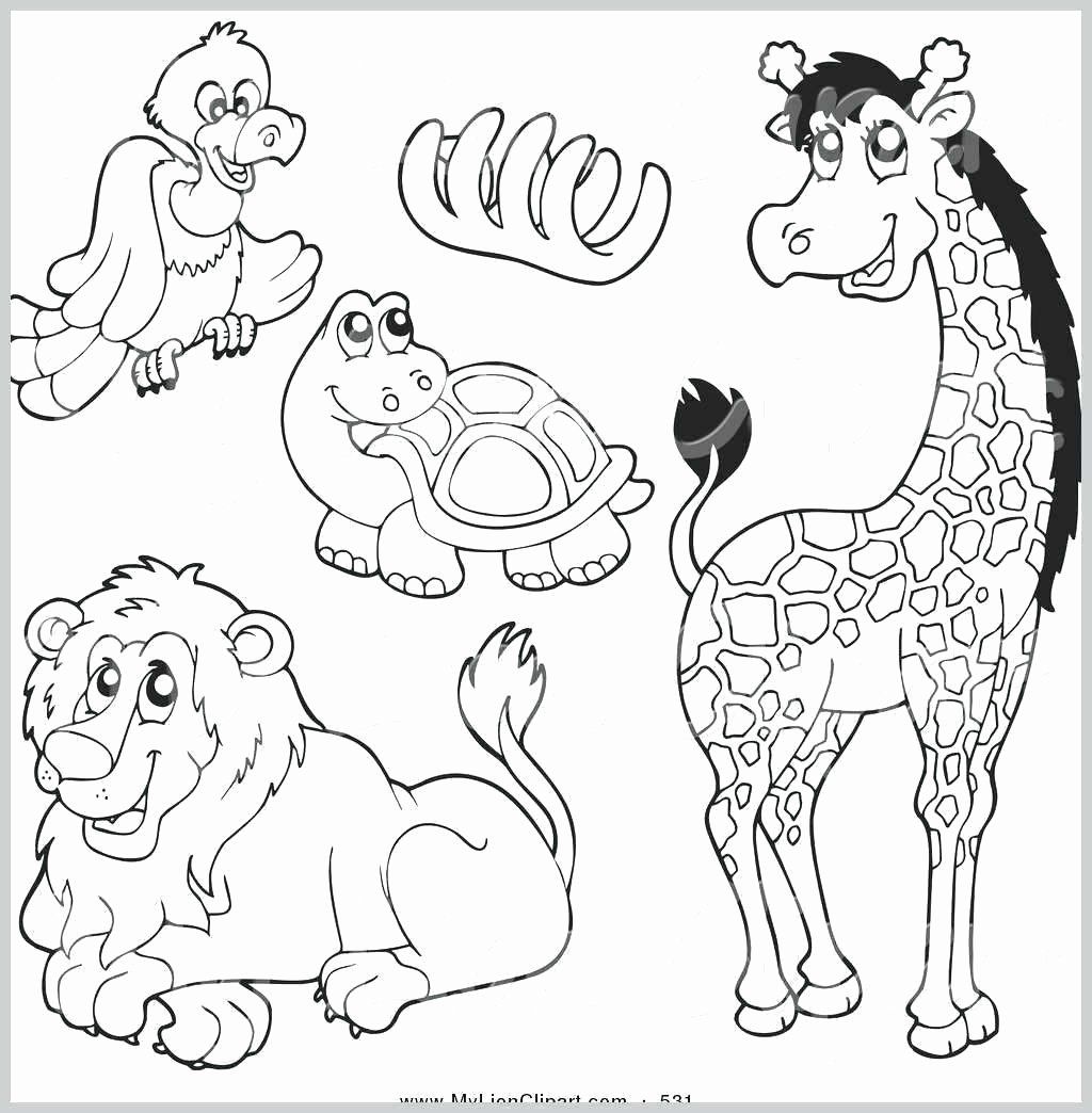 Football Kit Colouring Sheets Sb234 Sparklebox Sports