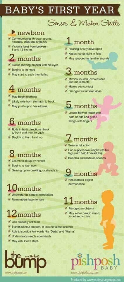 Your Baby S First Year Infographic The Expecting Mamas Network A K At Babies First Year Senses Motor Skills Kiddos Home