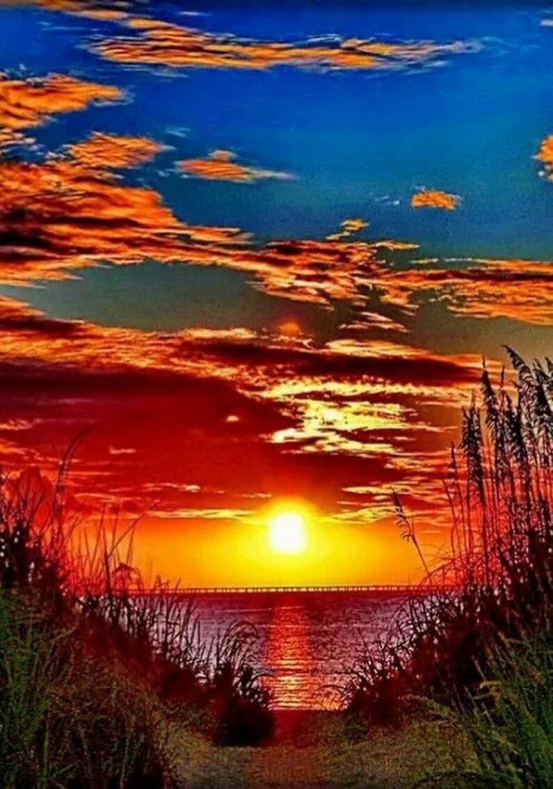 Brilliant colors for a sunset. | Sunset photography, Beautiful sunrise