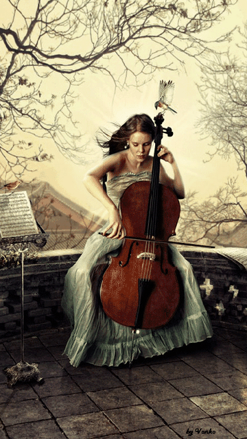 13 大提 Ideas Cellist Cello Classical Musicians