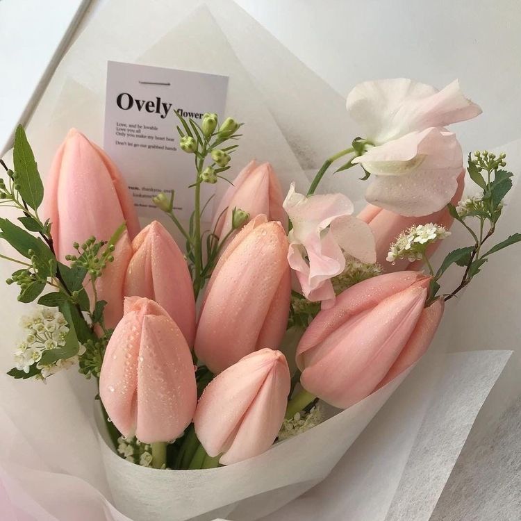 Flowers おしゃれまとめの人気アイデア Pinterest 花 アイコン 美しい花 花の線画 Flowers おしゃれまとめの人気アイデア Pinterest 花 アイコン 美しい花 花の線画