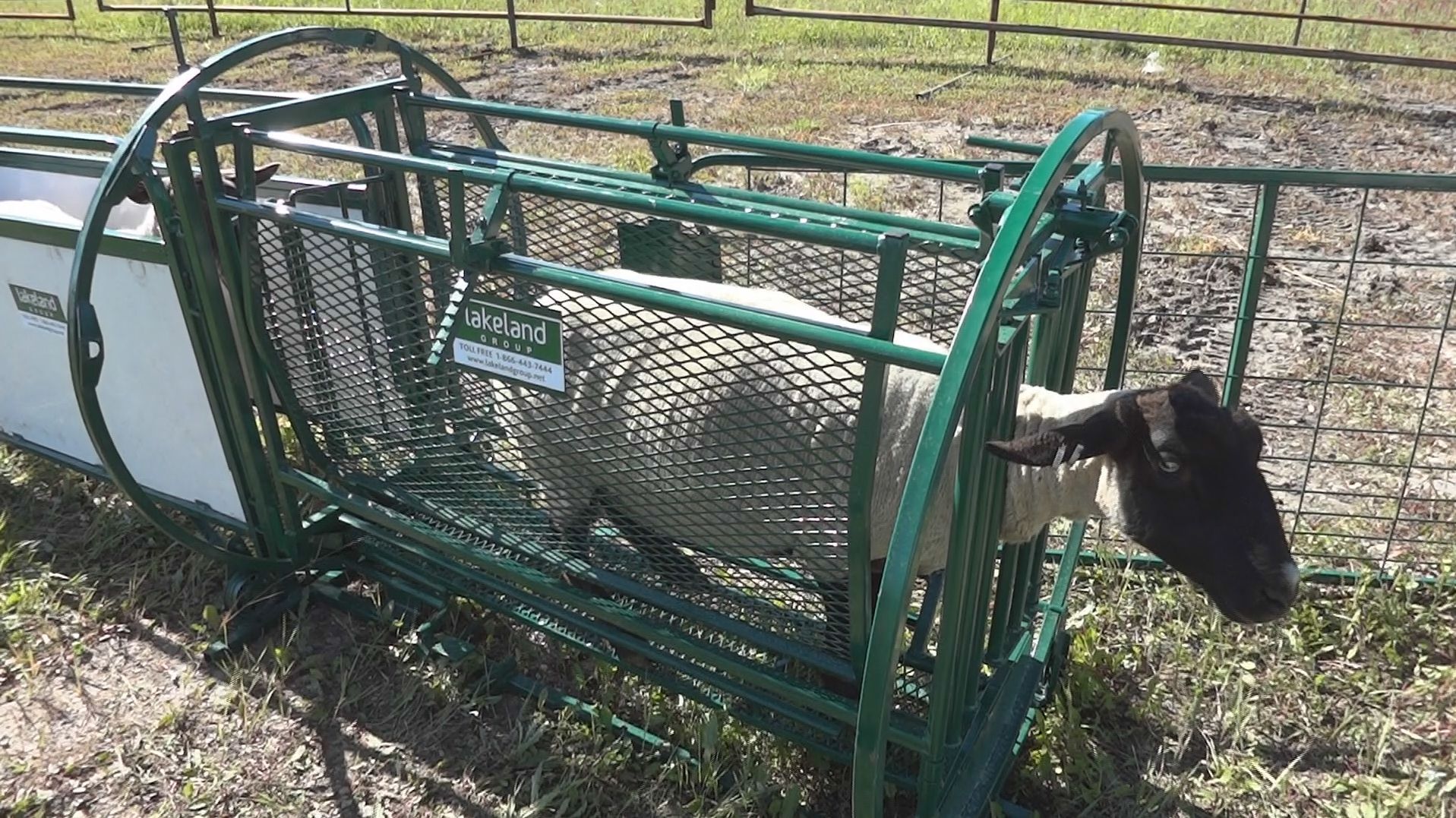 Spin Trim Chute Dst Lakeland Farm And Ranch Direct In 2020 Farm Cattle Farming Lakeland