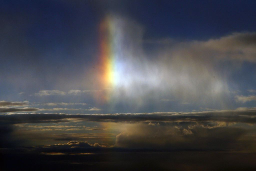 I saw one of these this morning, so cool!