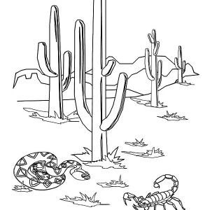 Download Free coloring pages of prickly pear cactus | Free coloring pages, Coloring pages, Free coloring