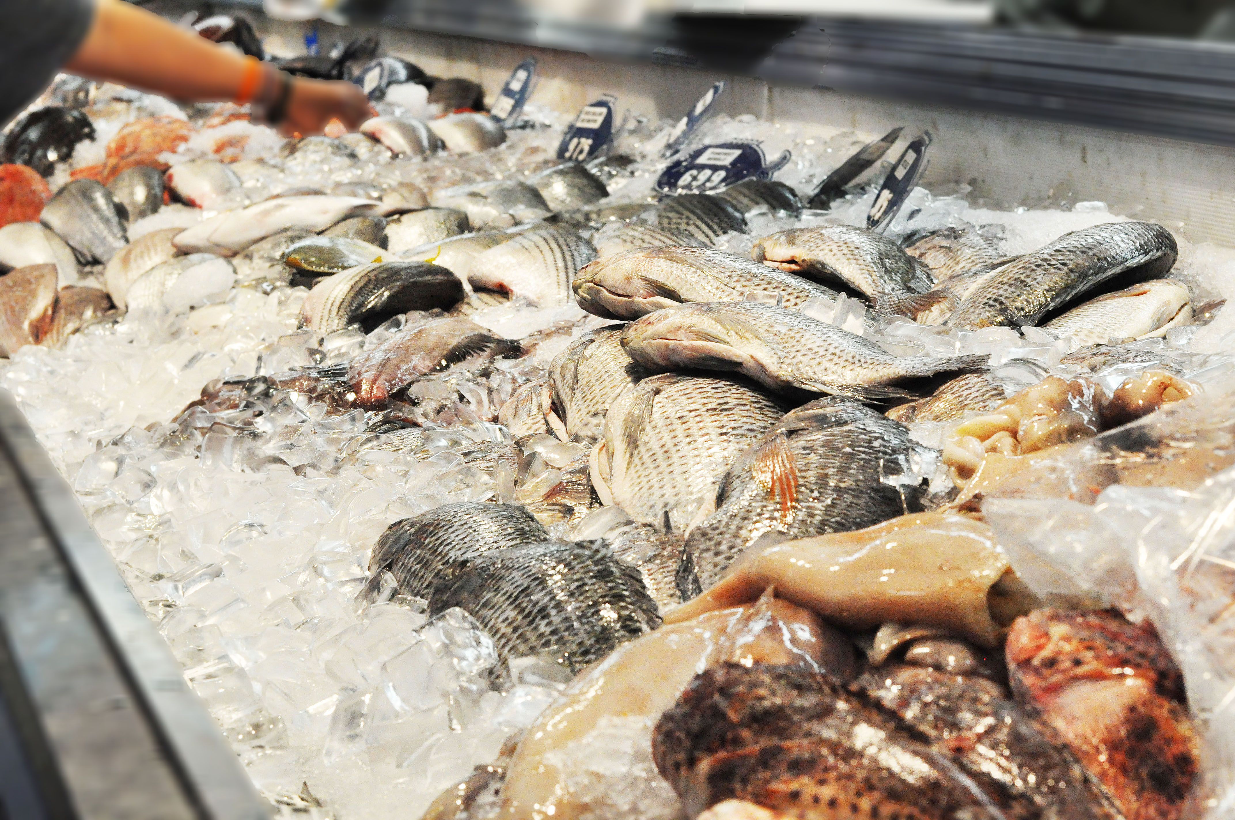 King Harbor S Finest Seafood Market Quality Redondo Beach King Harbor S Finest Seafood Market Quality Redondo Beach Is A Historic Los Angeles That Been Open Since 1953