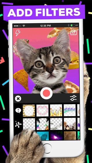 giphy cam app giphy cam app