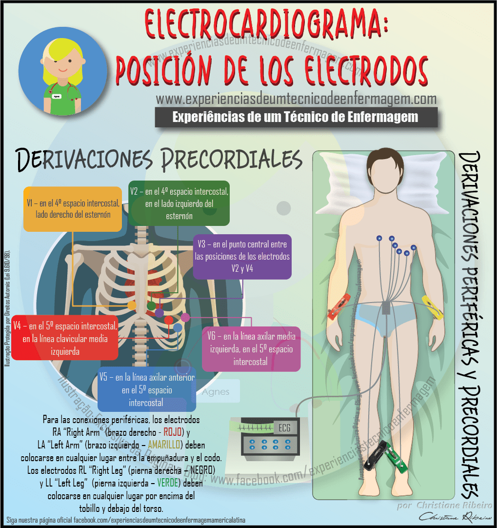 Realizando el examen de electrocardiograma ecg – Artofit