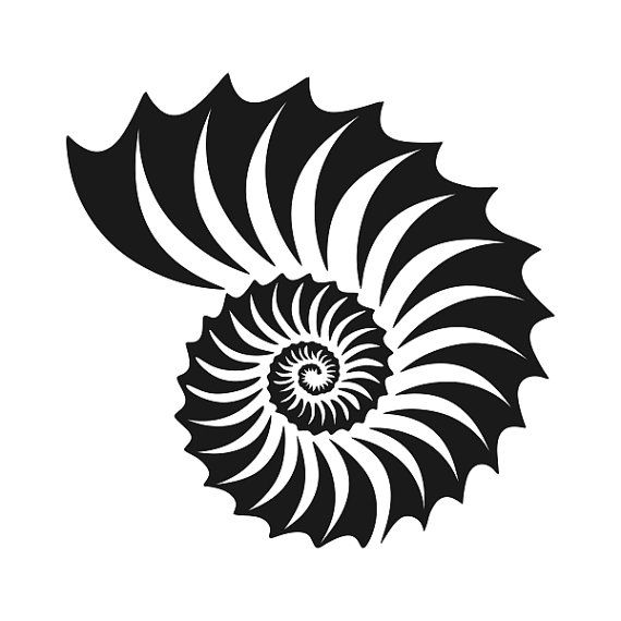 Sea Shell Cuttable Designs Svg Dxf Eps Use With By Cuttablesvg Sea Shells Resin Art Shells
