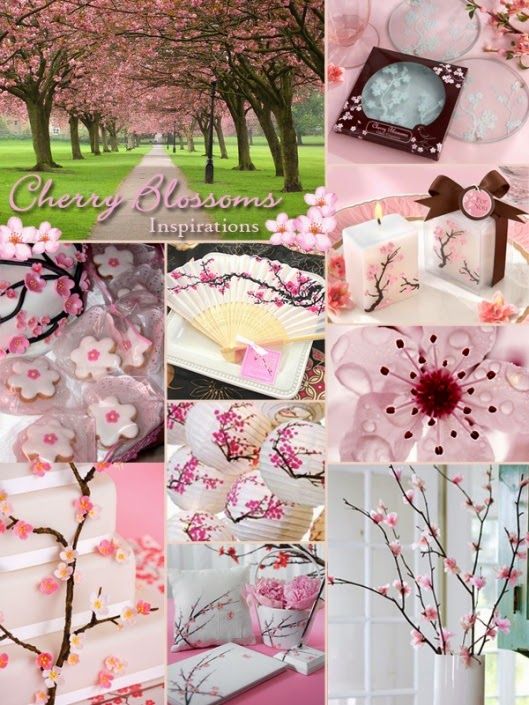 cherry blossoms theme