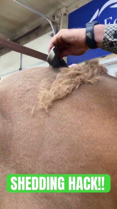 HORSE SHEDDING HACK!!