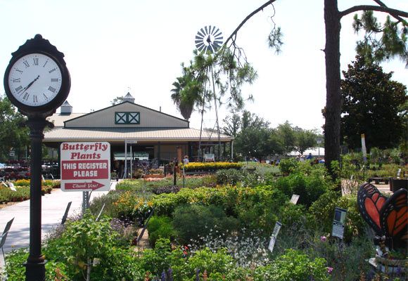 Lukas Nursery And Erfly Encounter In Oviedo Florida