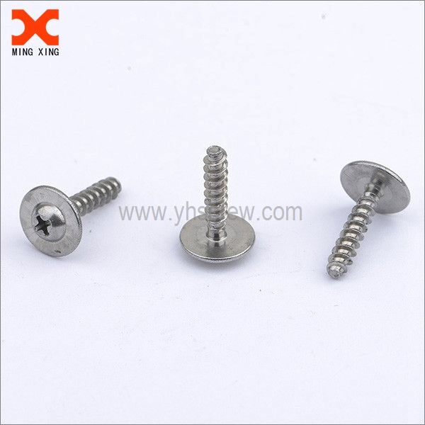 Stainless Steel Screws, Phillips, Washer, Manufacturing, Metric, Alignment, Cam, Slot, Avoid