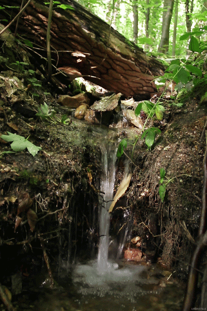 small waterfall gif | Waterfall, Nature gif, Nature photos
