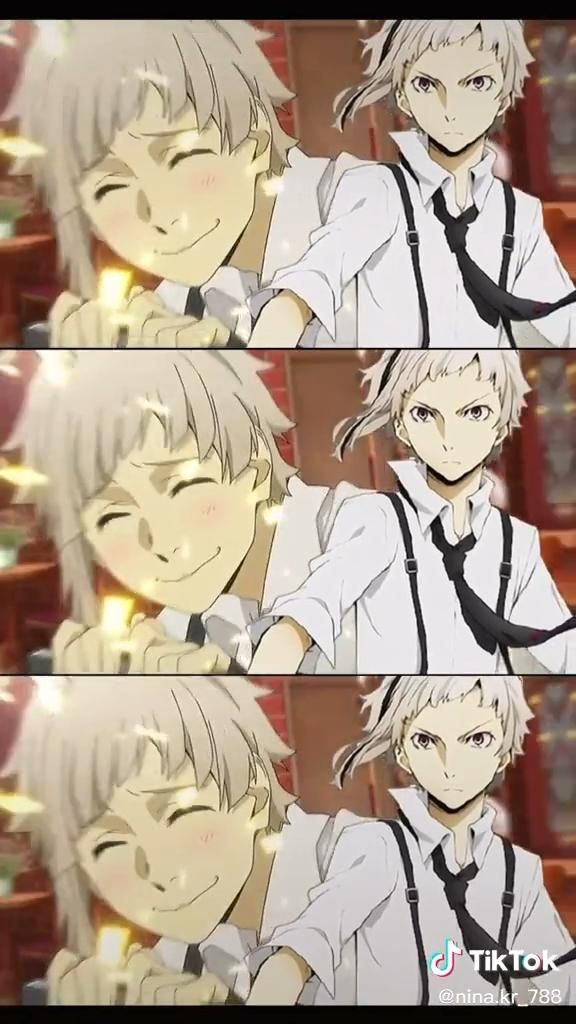 Bungou Stray Dogs Bungou Stray Dogs