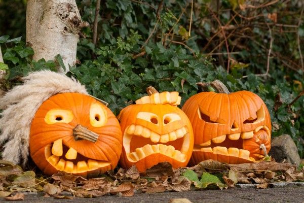 Kak Vyrezat Tykvy Na Helloween Halloween Kurbis Schnitzen Kurbisse Schnitzen Kurbis Schnitzen Anleitung