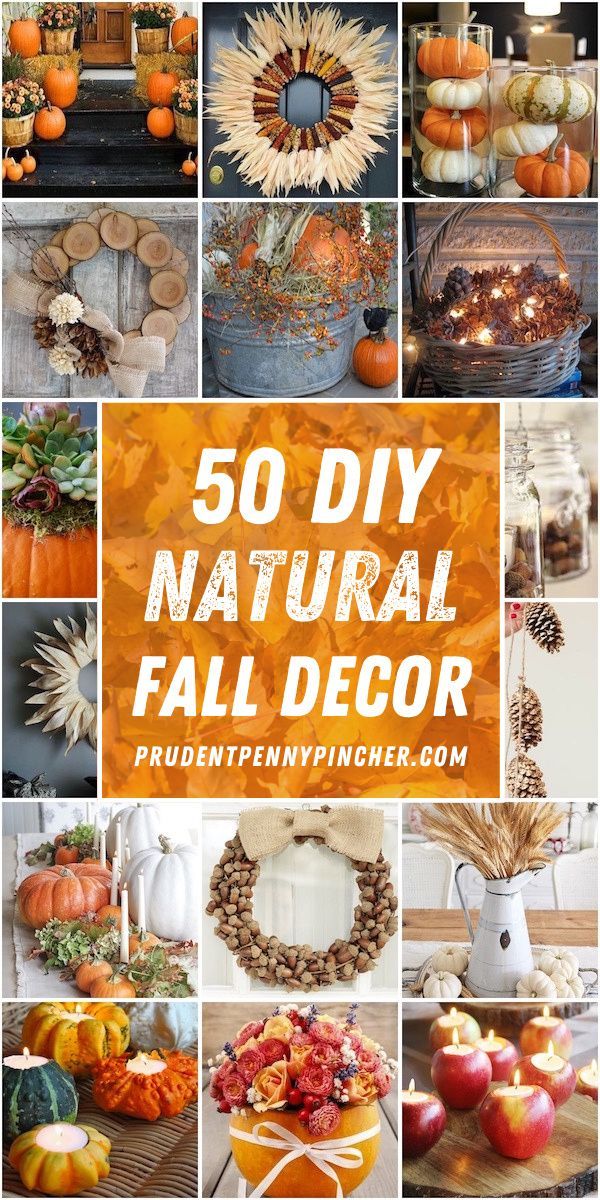 Incorporate natural elements into your fall decorations with these natural DIY fall decor ideas. These autumn decorations use pumpkins, gourds, cornstalks, acorns, pinecones, apples for fall decor ideas for the home to give it a cozy autumn touch on a budget. Fall Crafts Diy, Fall Decor Diy, Fall Diy, Autumn Decorations, Holiday Crafts, Holiday Ideas, Holiday Patterns, Seasonal Crafts, Holiday Art