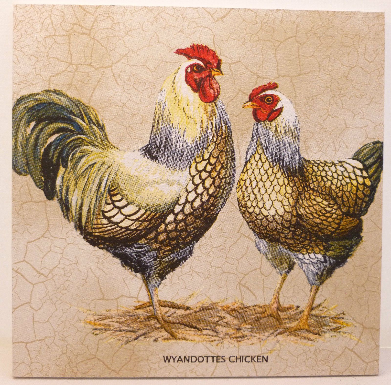 4 Single Paper Napkins for Decoupage Country Rooster Grey