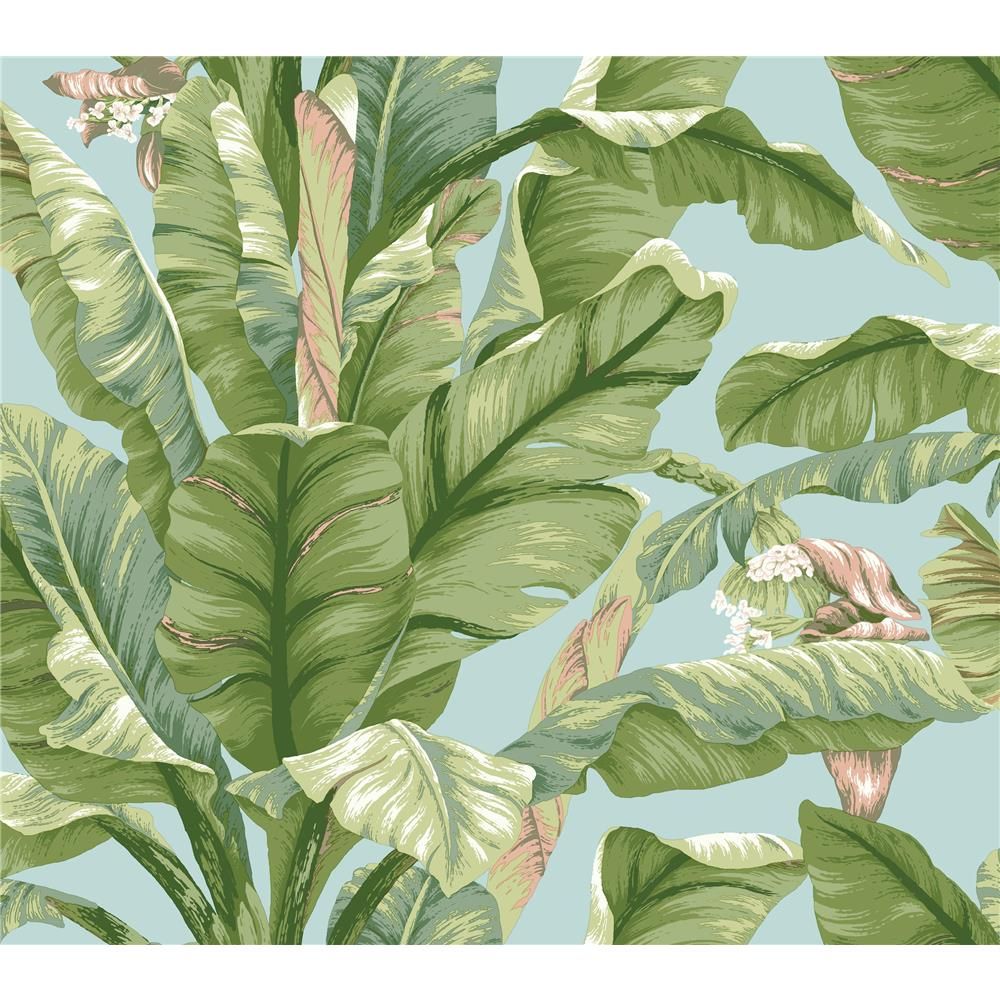 Psw1036rl York Premium Peel Stick York Psw1036rl York Premium Peel Stick Banana Leaf Peel And Stick Wallpaper In Blue Green Peel And Stick Wallpaper Banana Leaf Wallpaper Banana Leaf