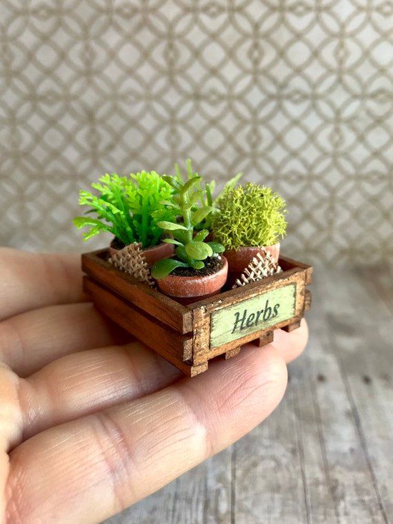 Miniature dollhouse crate, dollhouse garden herbs, fairy garden plants #miniaturedollhouse