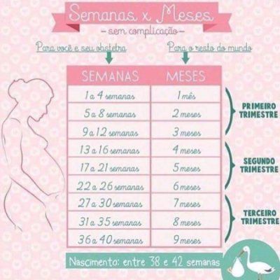 Em gestacao semanas meses de