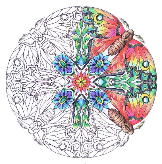 mandalas transformation themed set of coloring pages for adults
