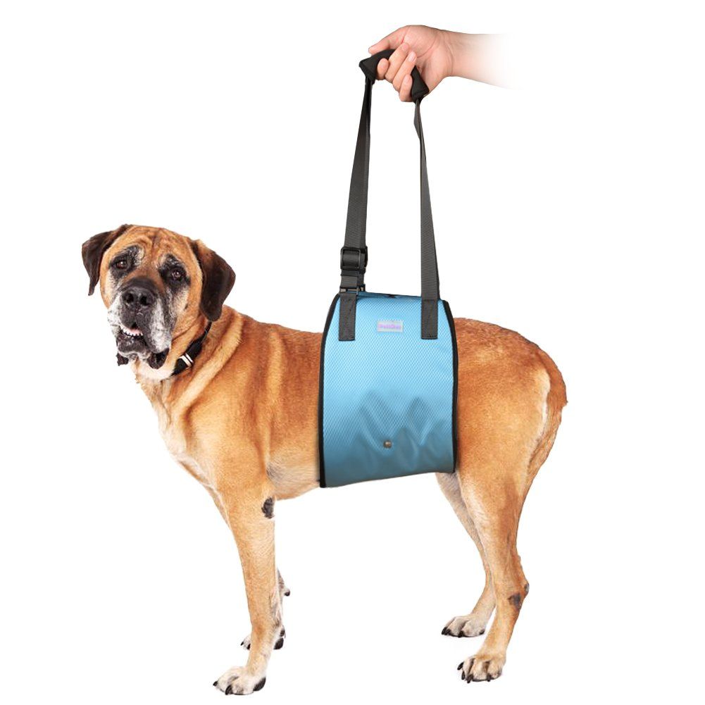 Dog Lift Harness Petlove Dog Lift Rehabilitation Sling Support