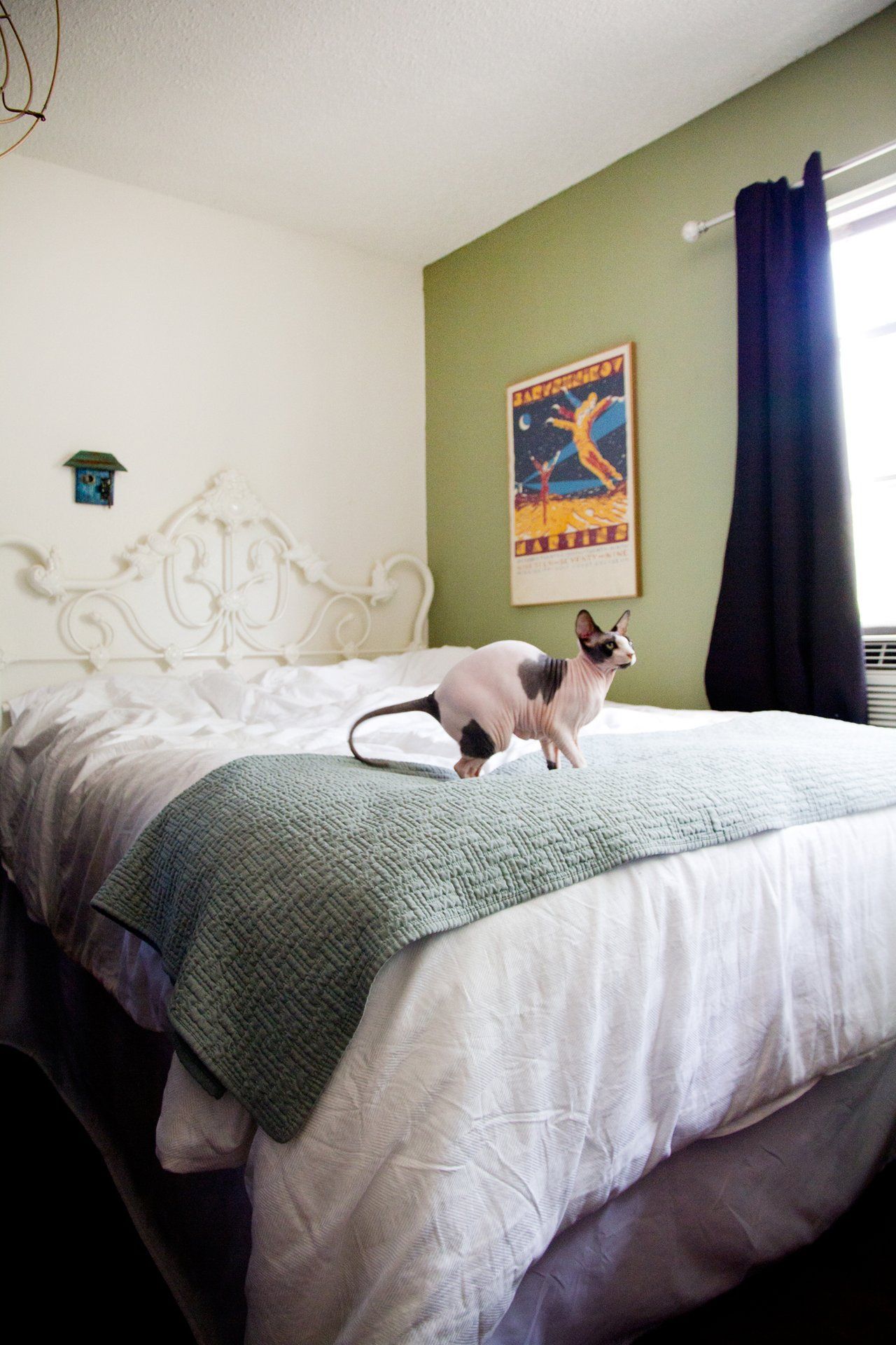 400 sq ft studio apartment ideas grad students cozy 400 square foot studio apartment therapyapartment ideasapartment studio studio sphynx and cat 400 sq ft studio apartment ideas grad students cozy 400 square foot studio apartment therapyapartment ideasapartment studio studio sphynx and cat