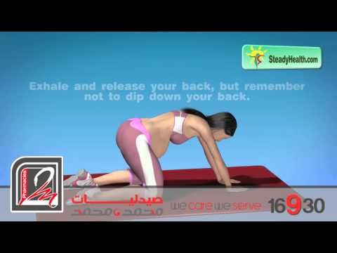 صيدليات محمد و محمد من أفضل التمارين للتخلص من آلام الظهر عند الحامل About Me Blog Gynecology Everything About You