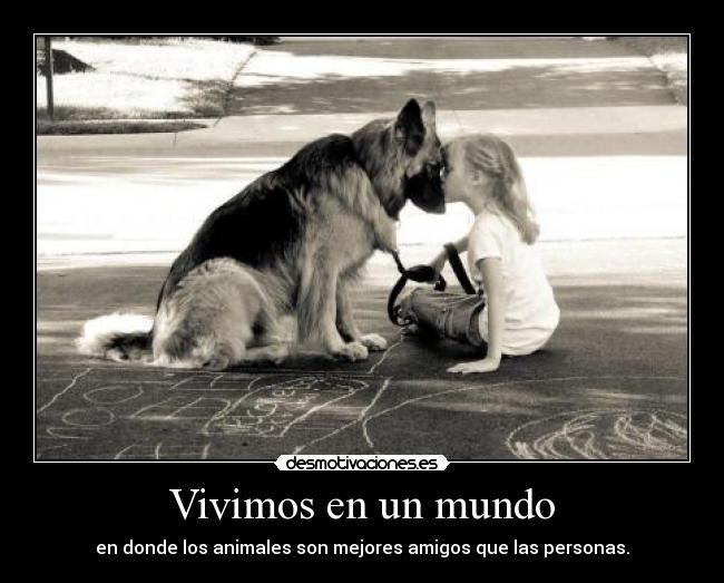 Frases Sobre Animales Página 2 Foros Zackyfiles