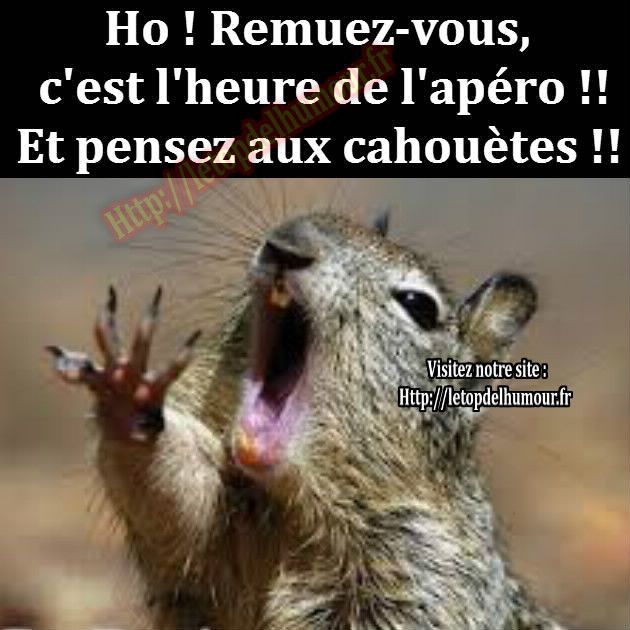 Apero Cacahuetes Ecureuil Oublier Humour Squirrel Funny Squirrel Memes Funny Animals Apero Cacahuetes Ecureuil Oublier Humour Squirrel Funny Squirrel Memes Funny Animals