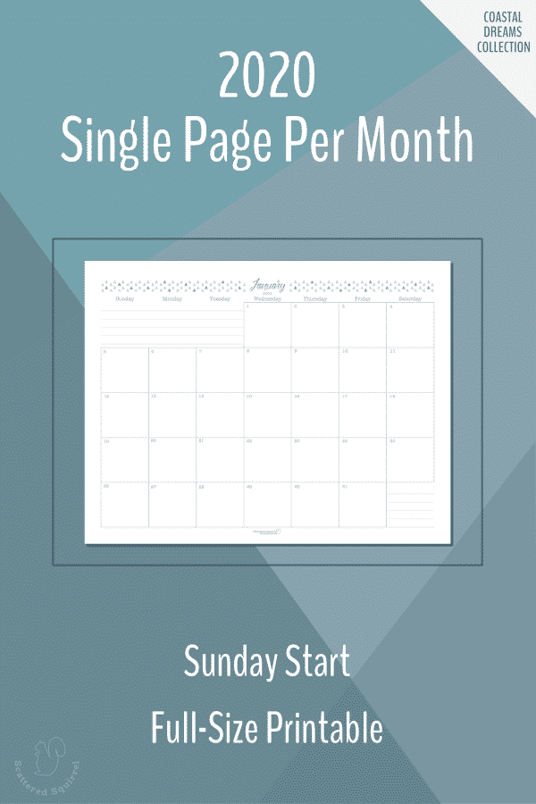 The Dated 2020 Calendars Are Ready Scattered Squirrel In 2020 Planner Calendar Printables Calendar Free Printable Calender scattered squirrel 2021 calendar