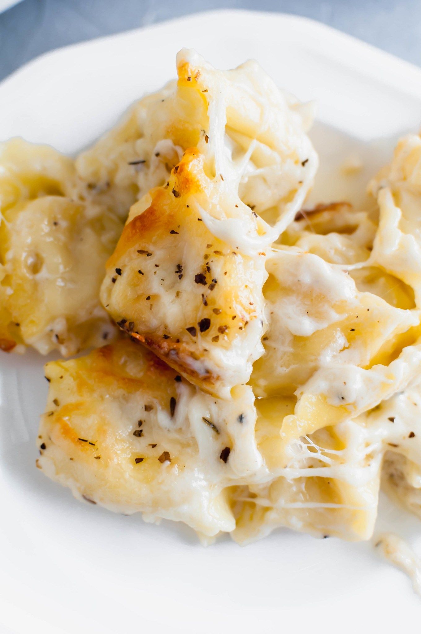 Baked Tortellini Alfredo Recipe Tortellini alfredo Baked Tortellini Alfredo Recipe Tortellini alfredo