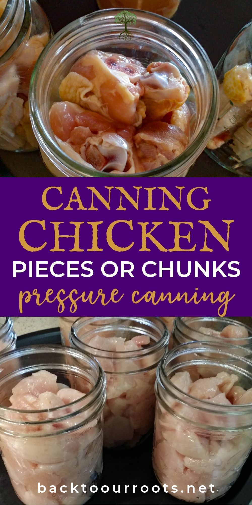 Canned meats are a staple at my house. They make meals so simple and fast! Here's a step by step guide to canning chicken in chunks or pieces. You will love having these in your pantry! Canning Soup, Canning Tips, Canned Chicken, How To Cook Chicken, Pressure Canning Meat, Pressure Cooking, Pressure Canner, Canning Food Preservation, Preserving Food