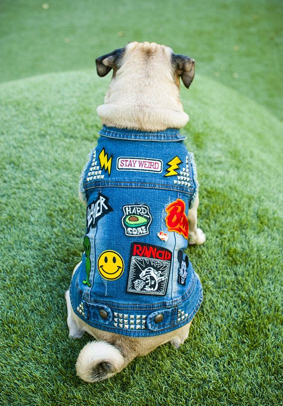 New Large Breed Denim Dog Vest Dog Denim Jacket Dog Denim With