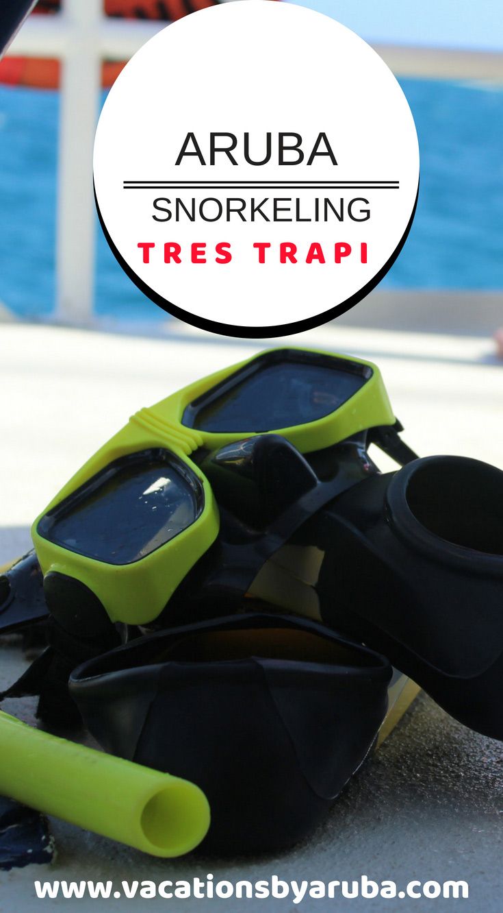 Want to snorkel in Aruba, but don't know where to go? This Aruba snorkeling guide will show you one of the best locations to go snorkeling in Aruba, which is Tres Trap (near high rise area). #arubasnorkel #snorkelinginaruba #arubasnorkeling http://www.vacationsbyaruba.com/best-places-to-snorkel-in-aruba/ Scuba Diving Gear, Cave Diving, Cozumel, Aruba Aruba, Cancun, Tulum, Aruba Travel, Snorkling, All Inclusive Packages