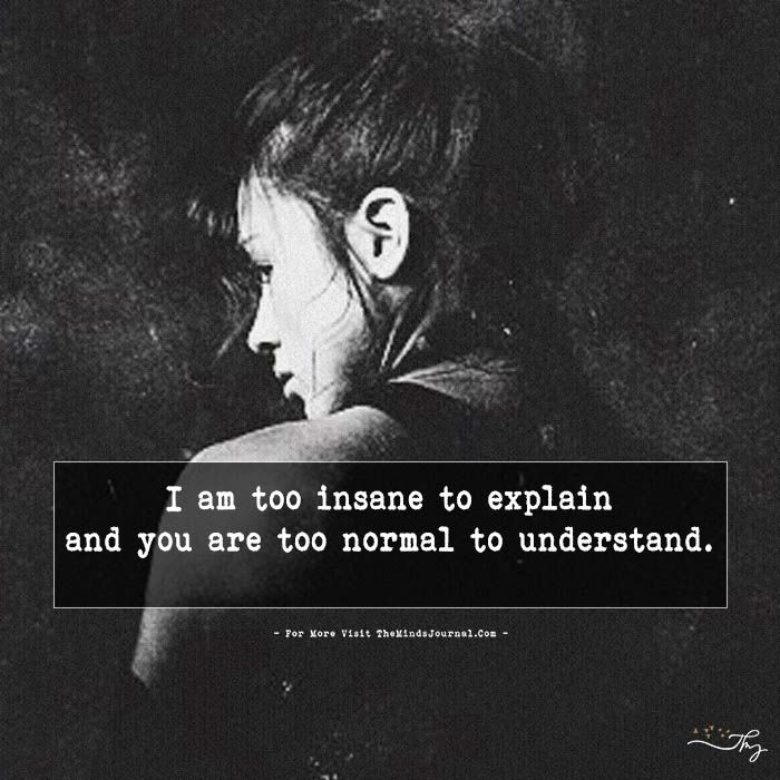 I Am Too Insane To Explain I Am Too Insane To Explain