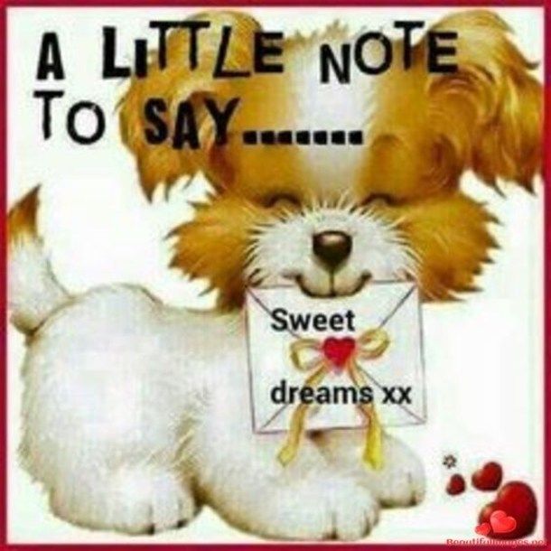 Pin On Good Night Quotes