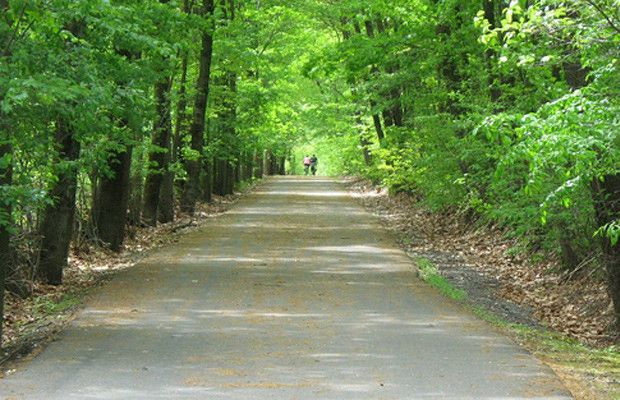 Best Biking Trails In The Hill Country With Images Bike Trails