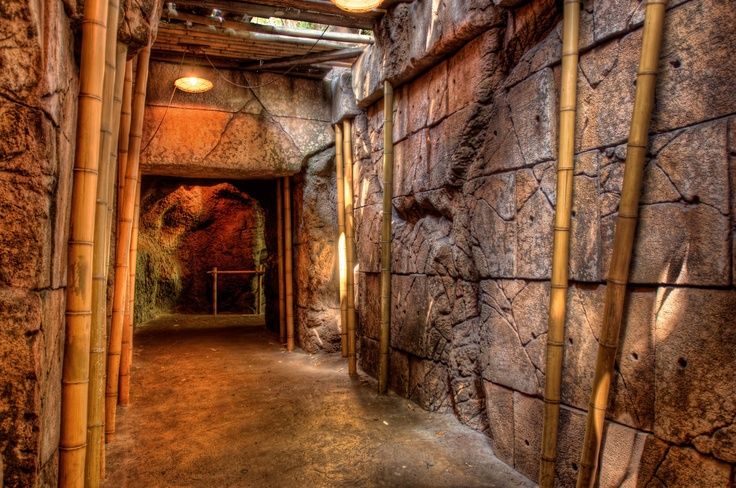 Disneyland Resort Update Indiana Jones Room Adventure Decor