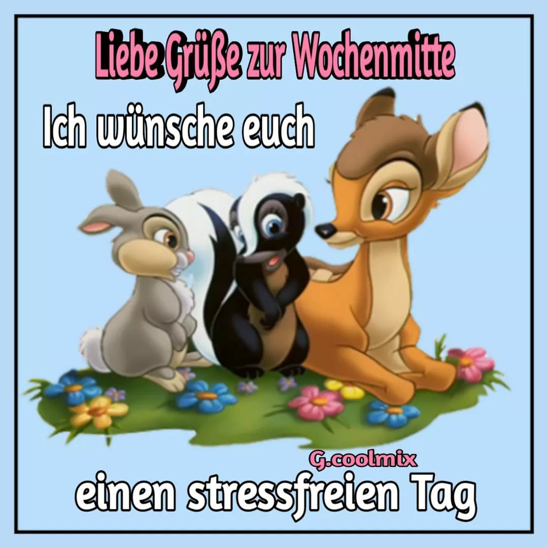 Pin von Susanne Piesker auf Hasi Mittwoch bilder lustig, Lustige