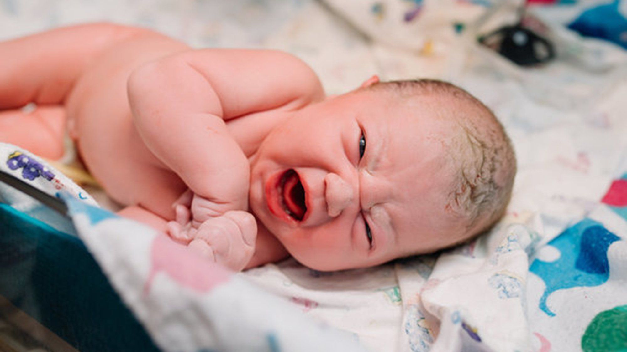 B b Est En Alerte Face Au Monde Qu il D couvre Raw Photography Birth b-b-est-en-alerte-face-au-monde-qu-il-d-couvre-raw-photography-birth