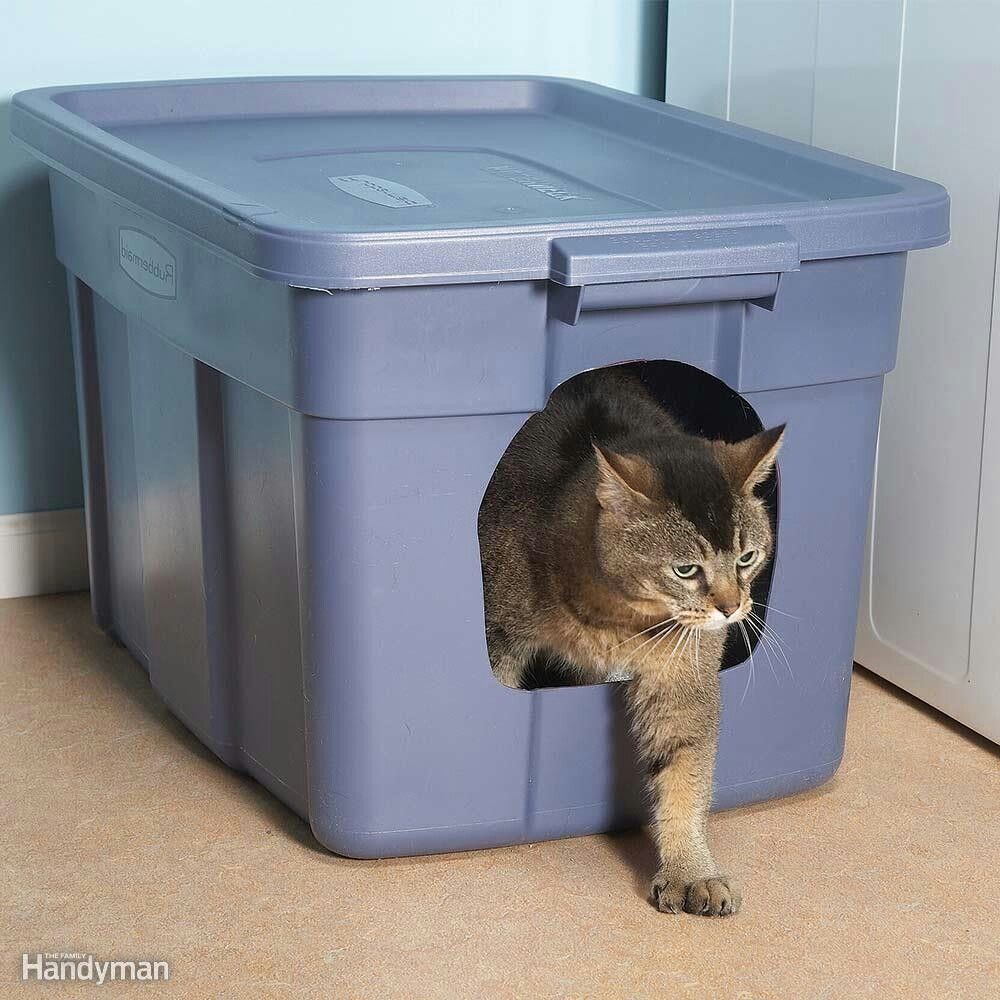 Pin By Marisol Olivares On Gatos Diy Litter Box Cat Diy Litter Box sifting-litter-box-using-wood-pellets-inexpensive-and-environmental
