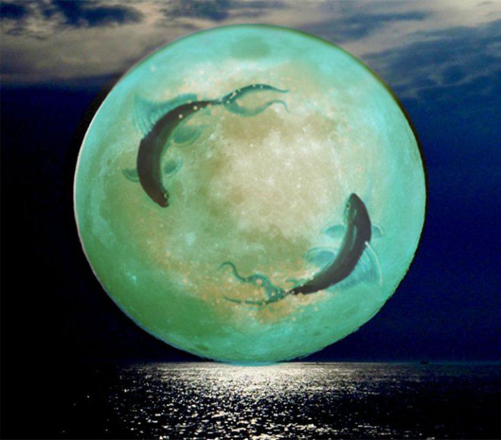 Pisces Full Moon Watercolor Art & Collectibles kientructhanhdat.com