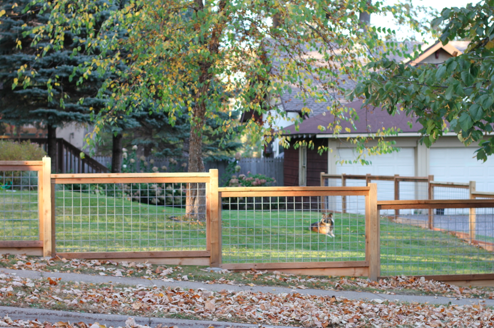 Screen Shot 2015 10 27 At 9 31 45 AM Hog Panel Fencing Cattle Panel my-version-of-cedar-and-cattle-panel-fence-fence-design-backyard