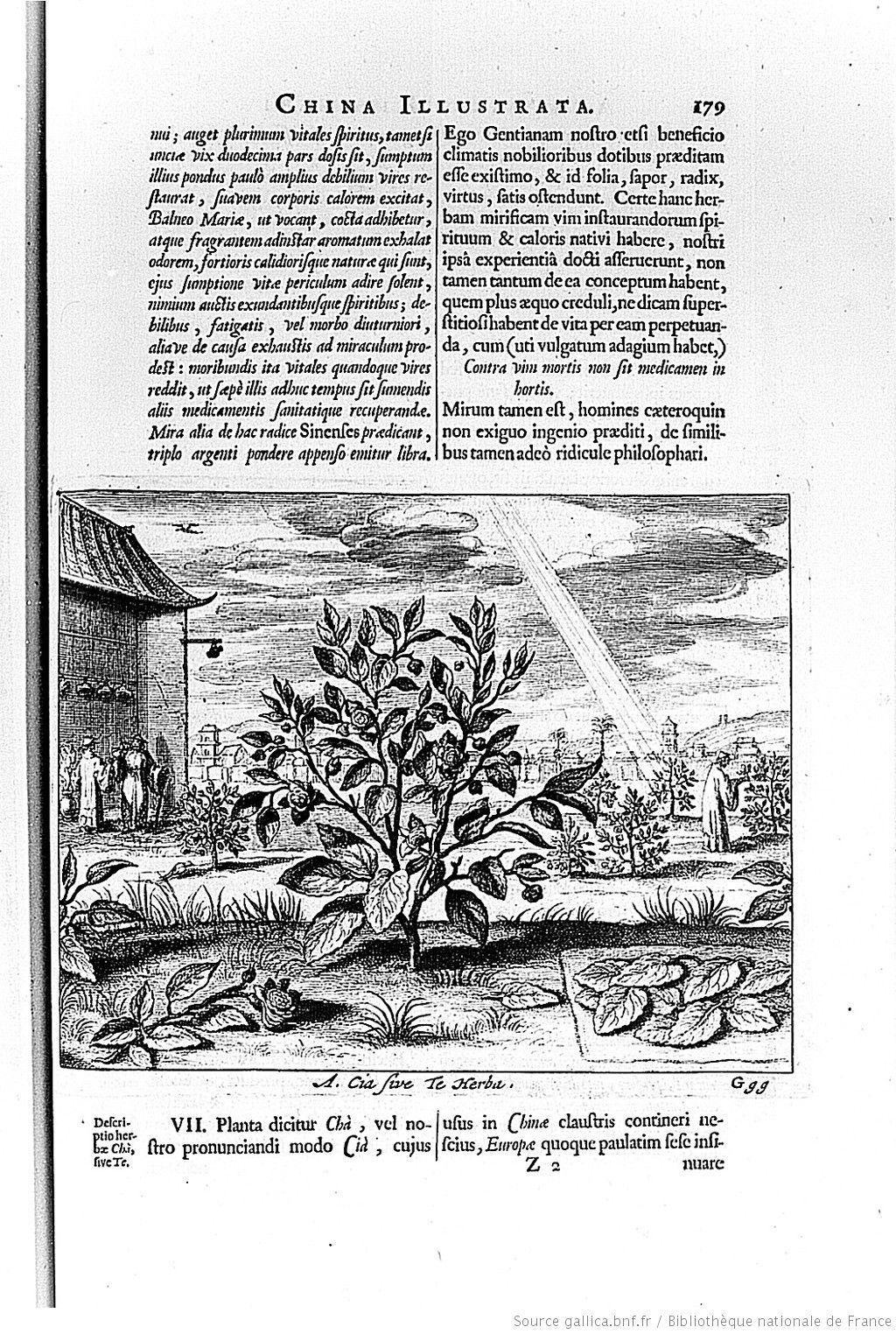 Athanasius Kircher(1602- 1680). Часть 1.: necrodesign Virtu, Enigma, Ego, Art Pieces, History, Ideas, Historia, Artworks, Art Work