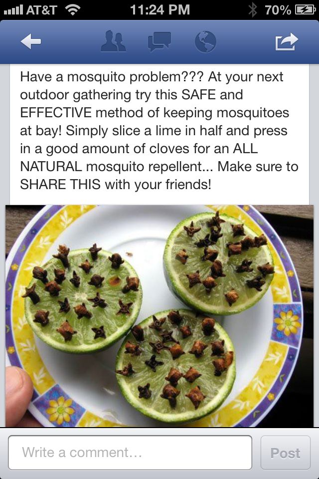 Mosquito Repellant I Hope This Is True Alaskan Mosquitos Are The