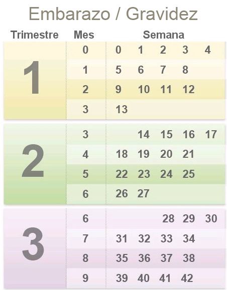 12 Months of Semanas
