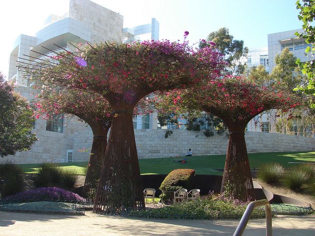 Trees Made Of Rebar And Flowering Climbing Plants Garden Vines Trellis Plants Plants