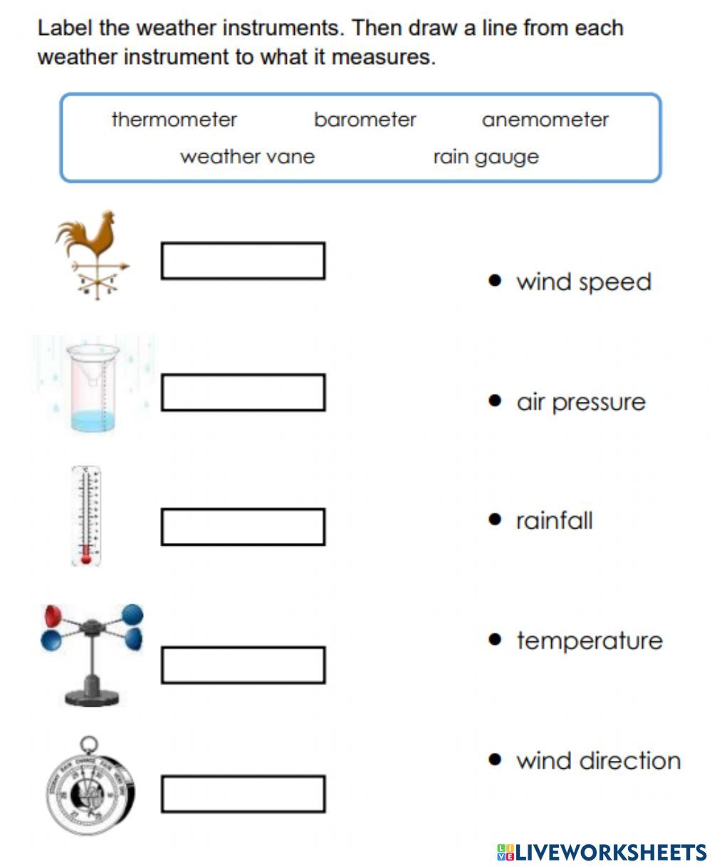 Weather Instruments Online Pdf Exercise Weather Instruments 